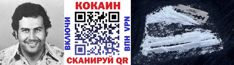 COCAIN Fish Scale  Купить  Серафимович 