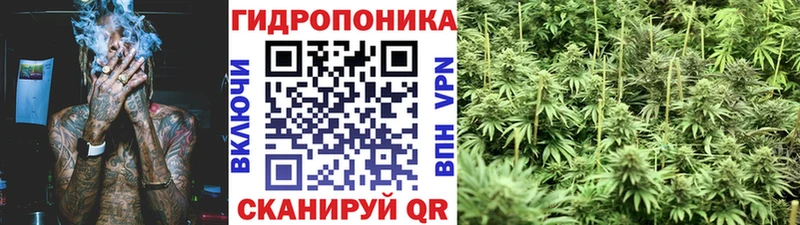 Купить  Серафимович  Конопля сатива 